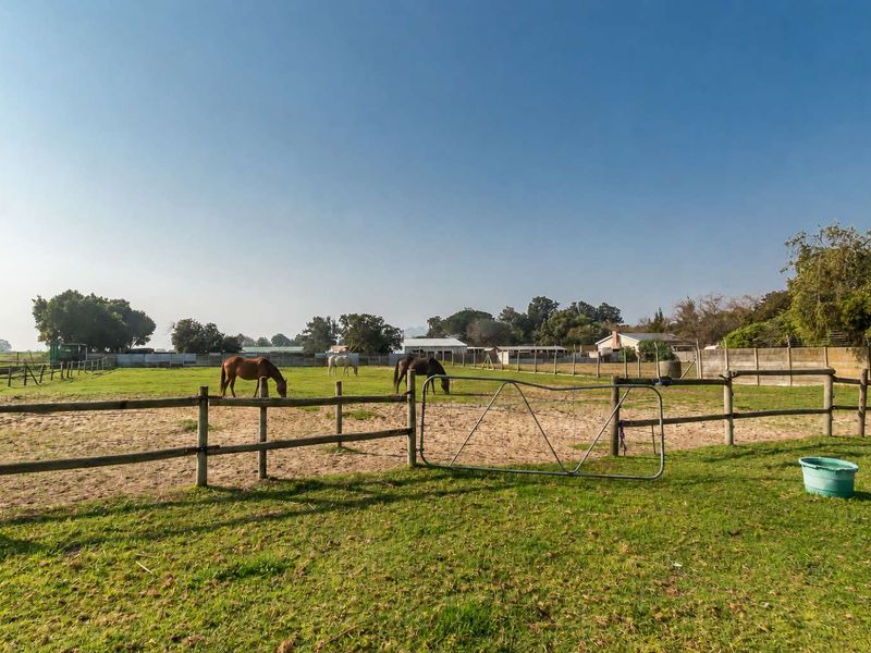 Expansive small holding paddock featuring timber post and rail fencing, a metal gate, and established boundary walls, suitable for equestrian use.