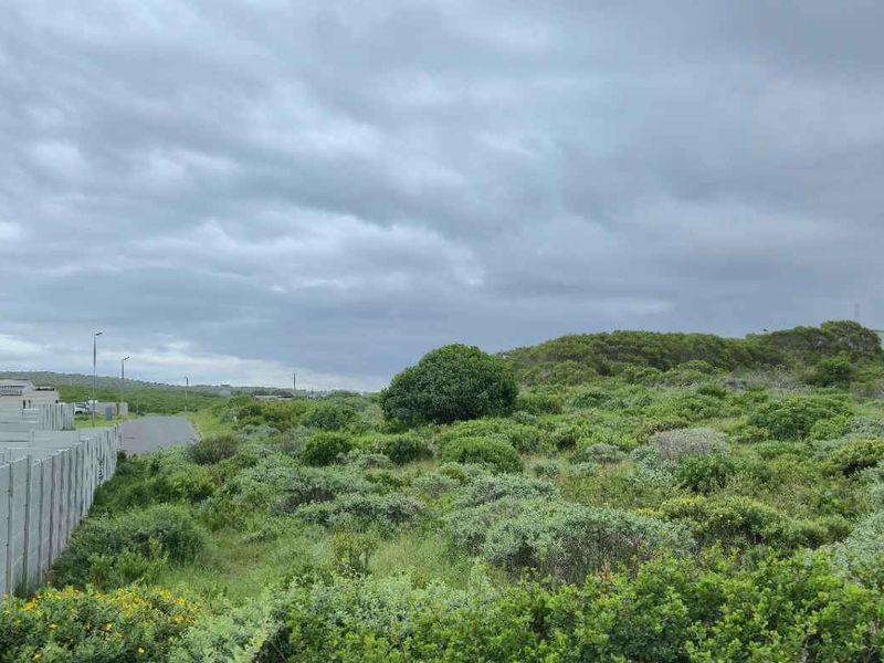 Prime Cul-de-Sac Stand with Mountain Views – Groenberg, Kleinbaai - Photo 7