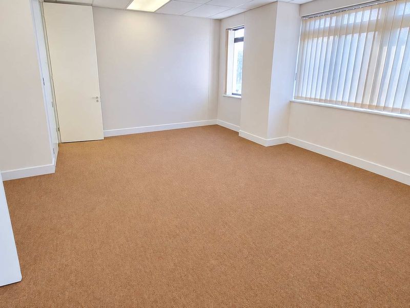 A bright, empty office space featuring neutral carpeting, a suspended ceiling with recessed lighting, and large windows fitted with vertical blinds.