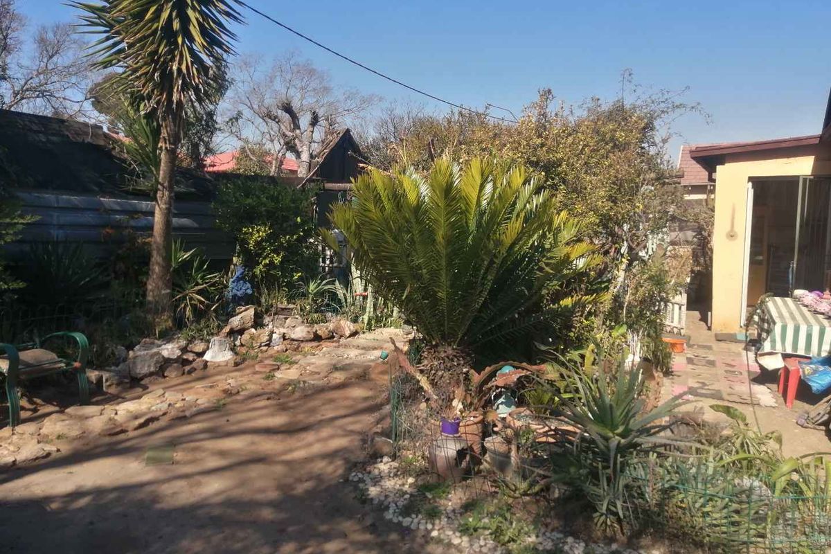 A rear garden area featuring established landscaping, mature cycads, and direct access to the home's exterior living space.