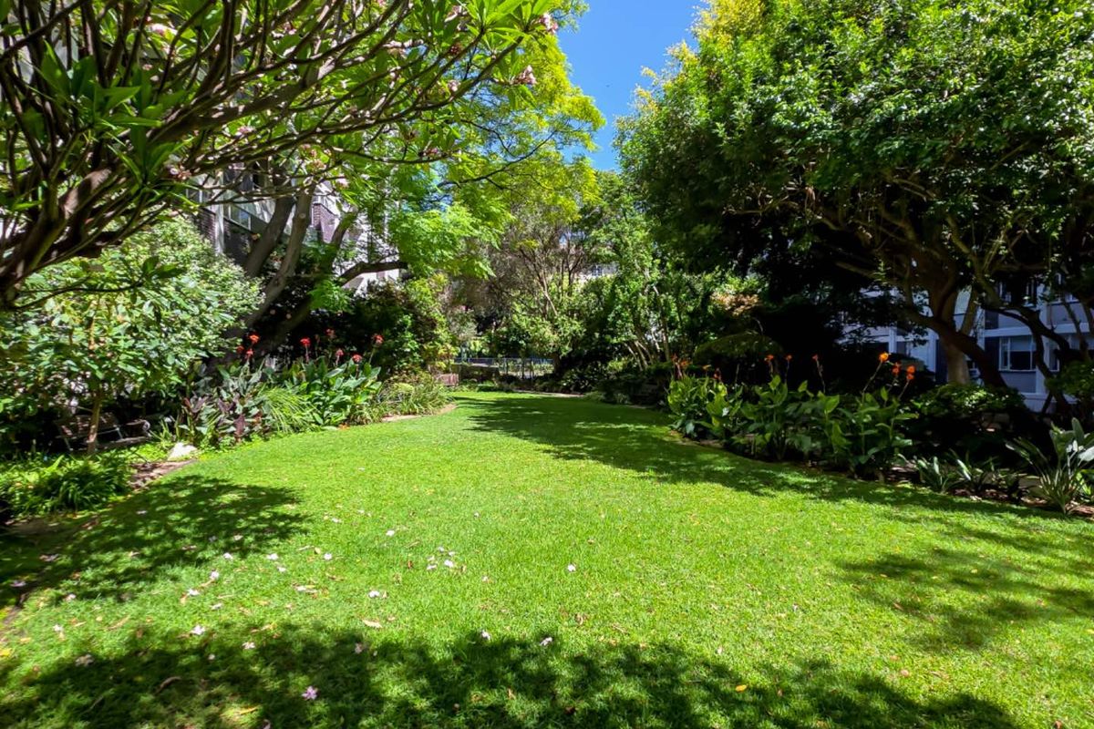 Bauhaus Beauty - A Renovated Garden-facing Studio Apartment - Photo 4