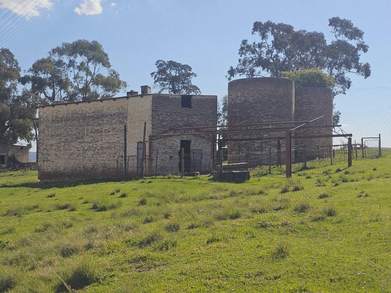 Well-Watered Mixed-Farming Opportunity in the Ladybrand District - Photo 2