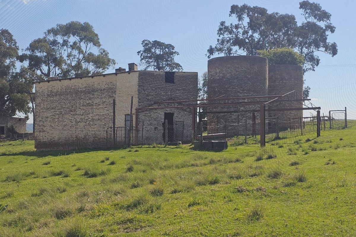 Well-Watered Mixed-Farming Opportunity in the Ladybrand District - Photo 2
