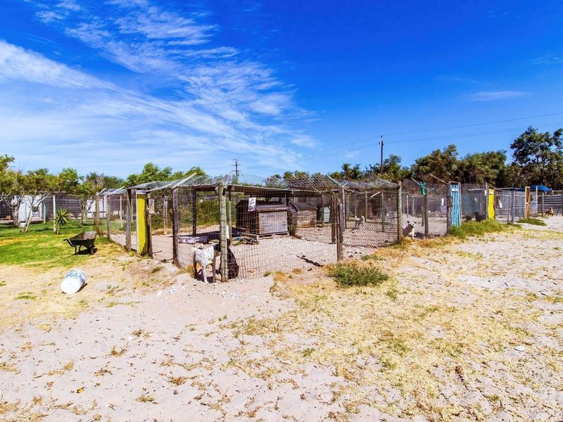 Farm for Sale with Houses and Cottages (incl. an Office Block), 21.87ha - Photo 7