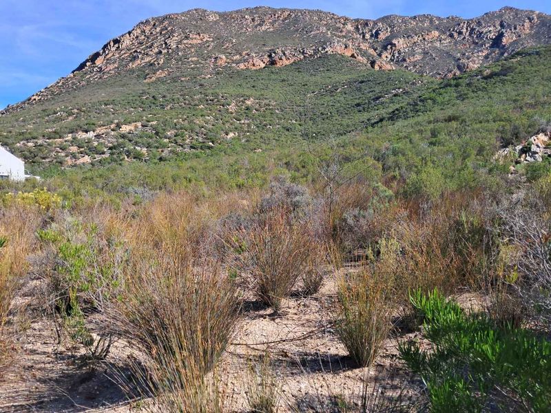A scenic view of the natural landscape featuring native vegetation and a prominent mountain backdrop on this vacant residential land.