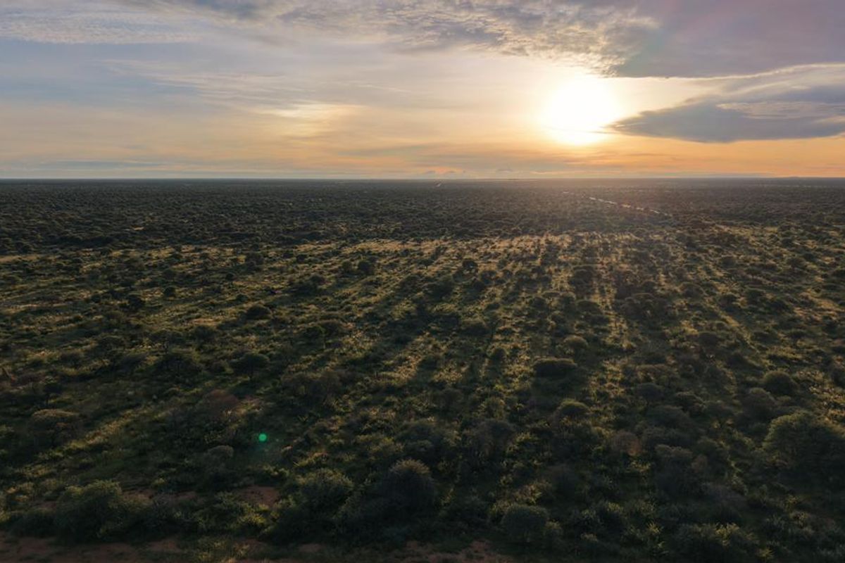 Hochfeld Dream Farms: Last Phase Almost Sold Out - Photo 3