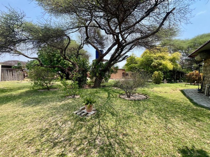 A spacious, well-maintained garden area featuring mature trees, a stone paved walkway, and an elevated water storage tank.