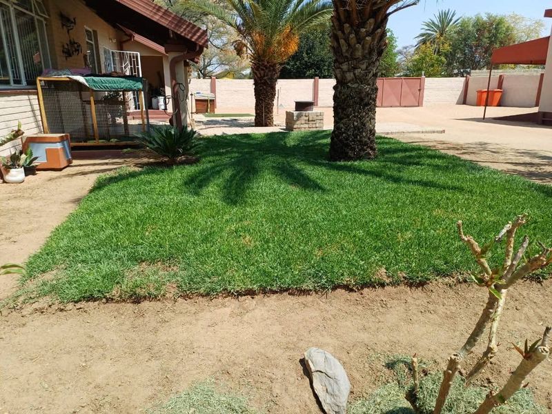 A residential garden area featuring a central lawn, mature palm tree, and perimeter brick boundary walls with a gated driveway entrance.