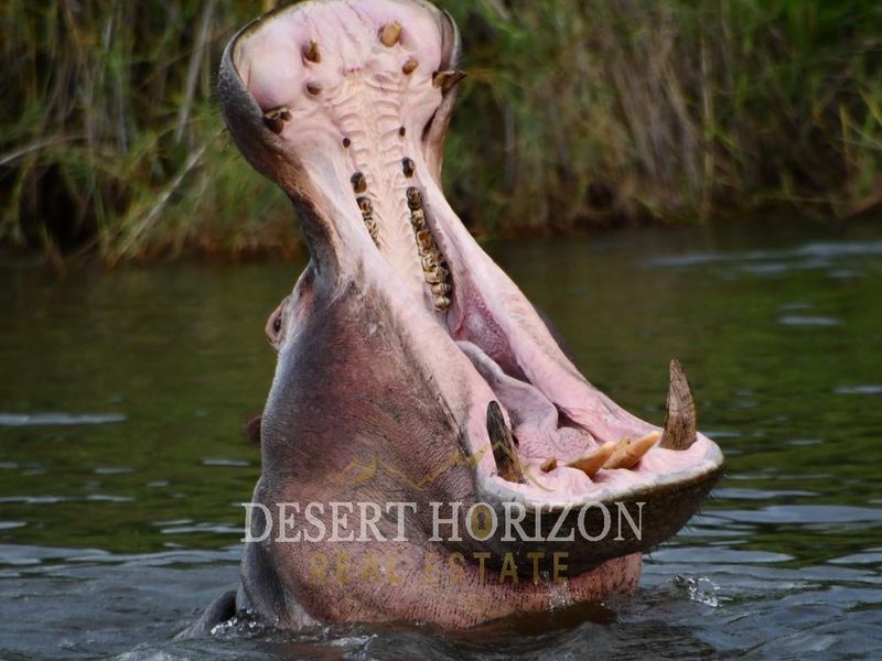 Namibia ,Rundu | Lodge for Sale - Photo 7