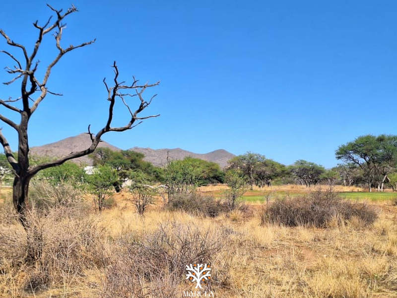 FOR SALE | N$670 000.00 | OMEYA ERF 113 - Photo 2