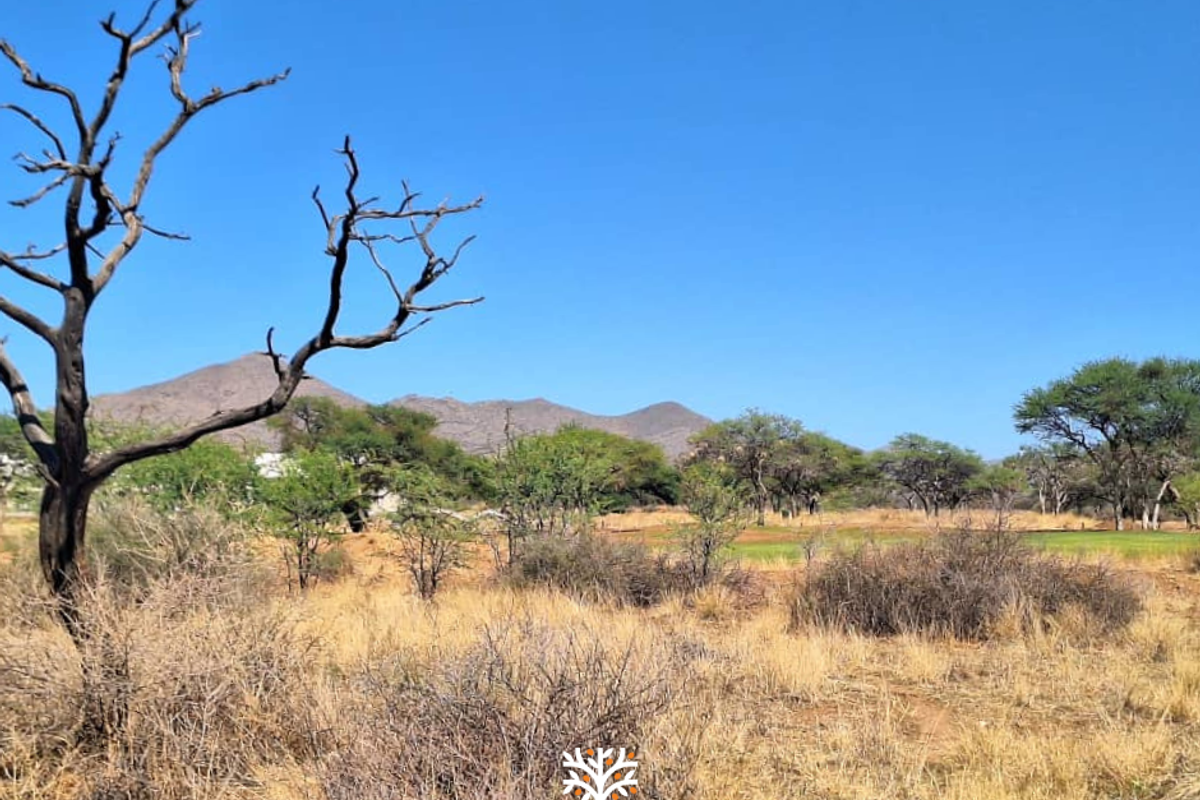 FOR SALE | N$670 000.00 | OMEYA ERF 113 - Photo 2