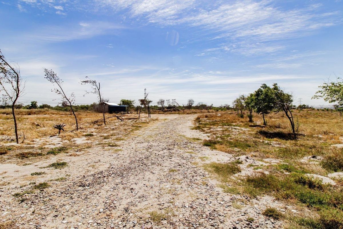 Farm for Sale with Houses and Cottages (incl. an Office Block), 21.87ha - Photo 4