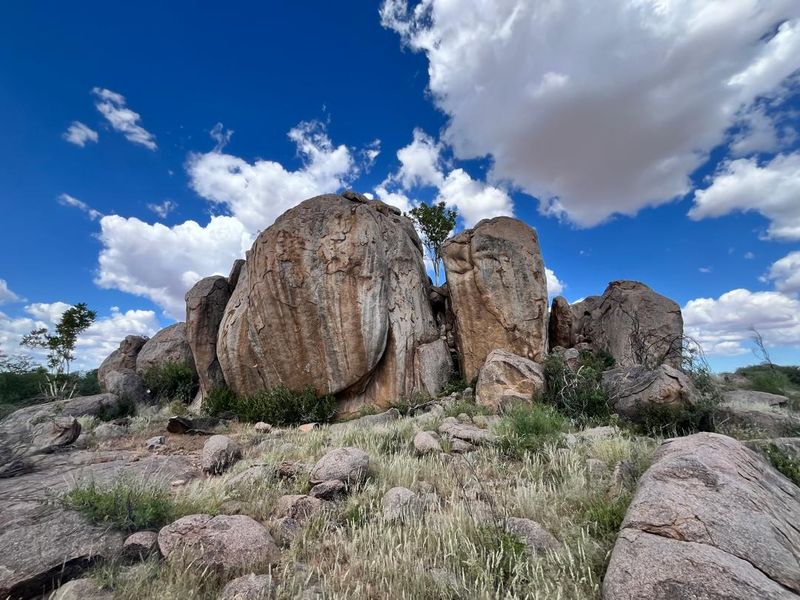 A remarkable 2300ha livestock farm just outside Outjo, offering exceptional potential for serious farmers and investors. - Photo 7
