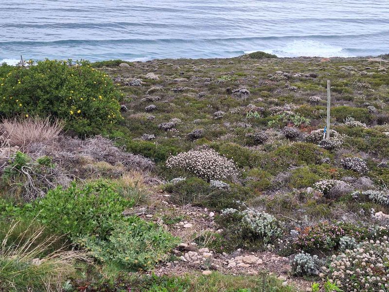 Stunning 3973m2 Vacant Land For Sale in Paradise Coast Eco Estate, Breaker Point - Photo 7