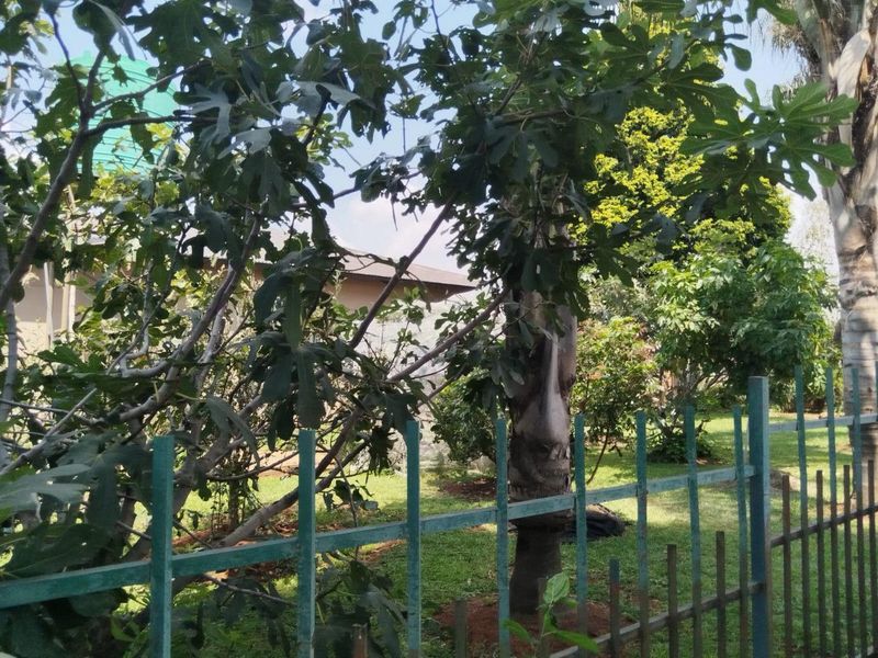 Prime Small Holding with Commercial Potential Next to Riverfields - Photo 4