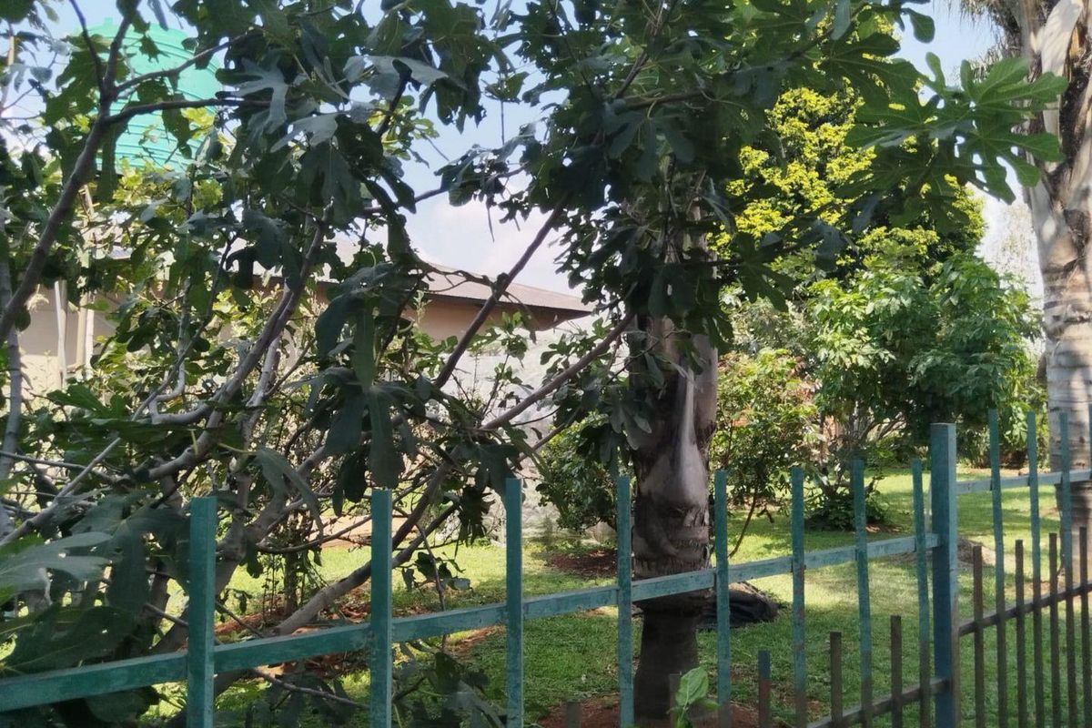 Prime Small Holding with Commercial Potential Next to Riverfields - Photo 4