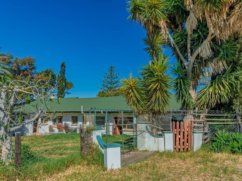 Crop Farm with Registered Irrigation Rights - Photo 2