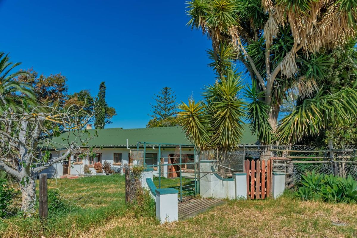 Crop Farm with Registered Irrigation Rights - Photo 2