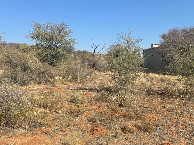 A view of a vacant residential plot featuring natural bushveld vegetation and sandy terrain.