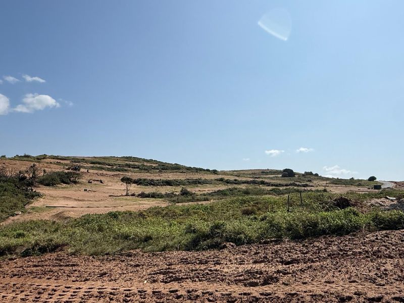 A wide-angle view of an undeveloped residential plot featuring natural terrain and native vegetation, ready for future construction.