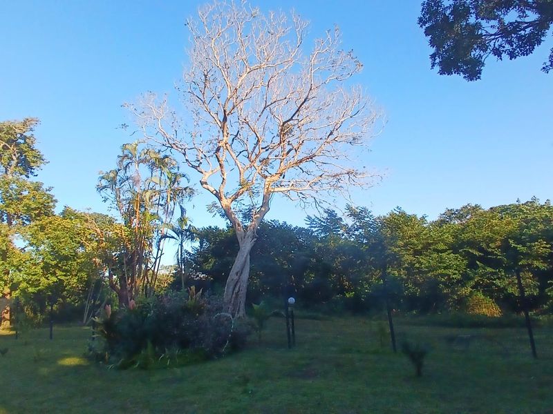 Prime location, perfect small family home - Photo 6