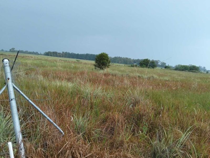 Build Your Dream Home in Serene Emerald Hill Estate! - Photo 5