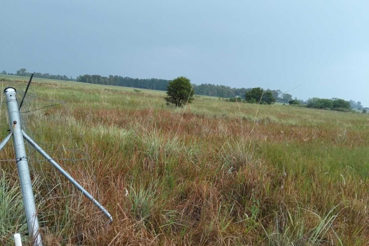 Build Your Dream Home in Serene Emerald Hill Estate! - Photo 5