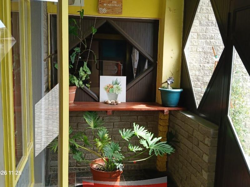 Sole Mandate; Large Family Home with Flatlet in Vineta for Sale - Photo 6