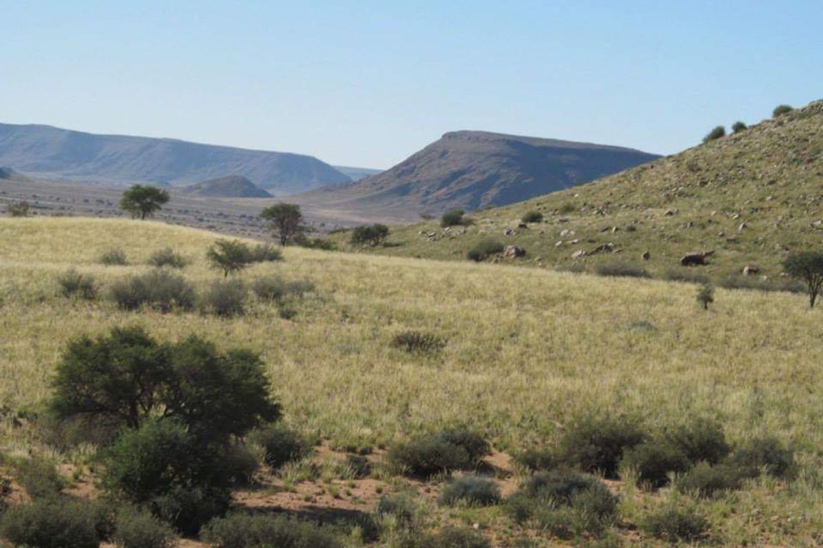 GORGEOUS FARM FOR SALE IN THE SOUTH OF NAMIBIA - KARRAS REGION - Photo 5