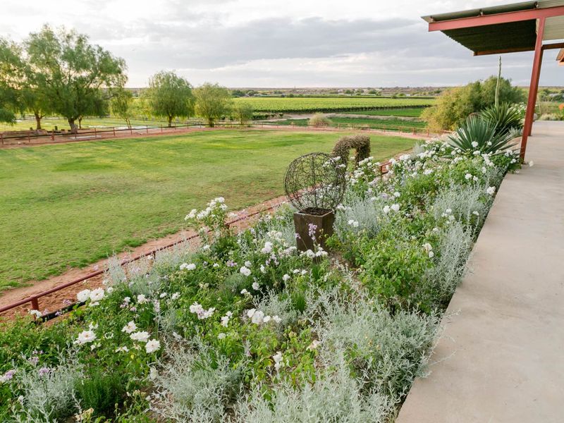 Naftali Lifestyle Estate - Photo 10