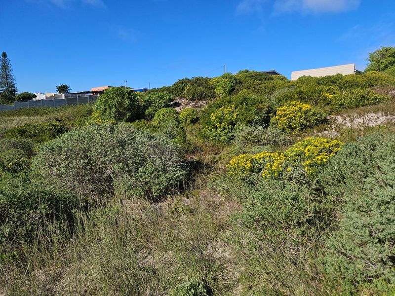 Close to Nature - Photo 9