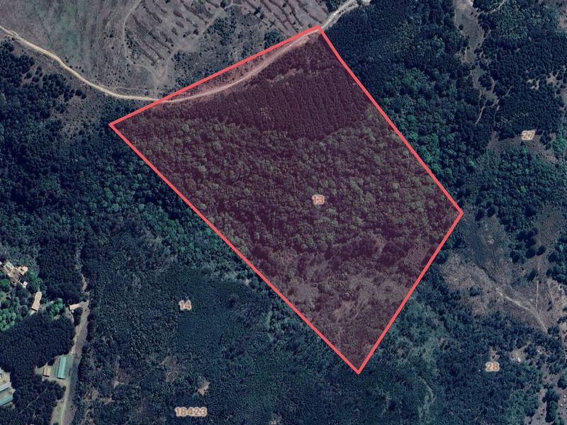 25-Hectare Vacant Land with Forest and Panoramic Views in the Midlands, Howick Rural - Photo 4
