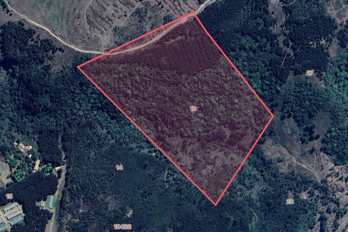 25-Hectare Vacant Land with Forest and Panoramic Views in the Midlands, Howick Rural - Photo 4