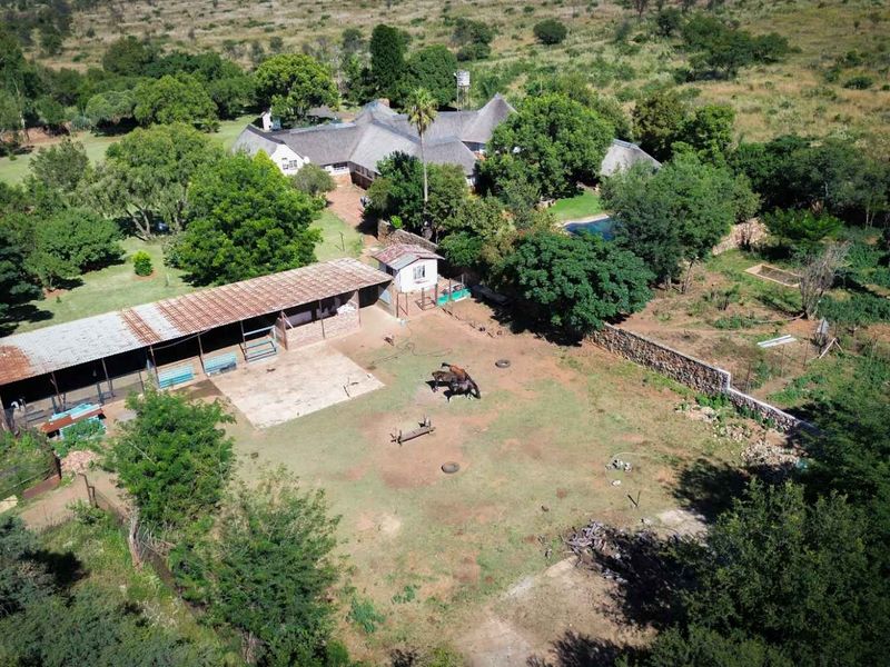 22ha Farm for Sale – Prime Small-Scale Farming Opportunity - Photo 3