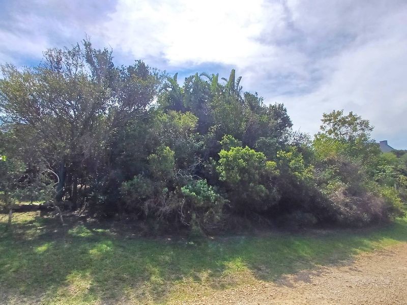 1195sqm vacant stand with established biogas digester and 2 rain water tanks - Photo 8