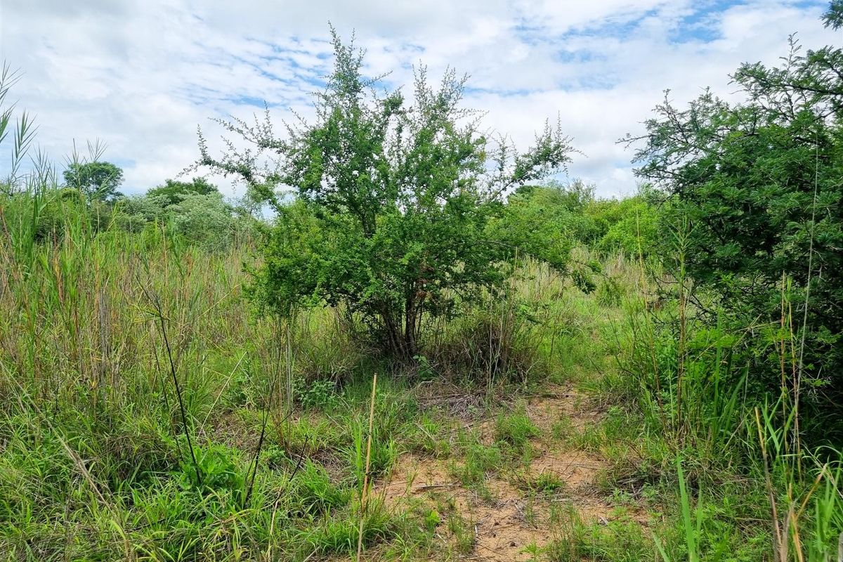 Riverfront stand - Photo 2