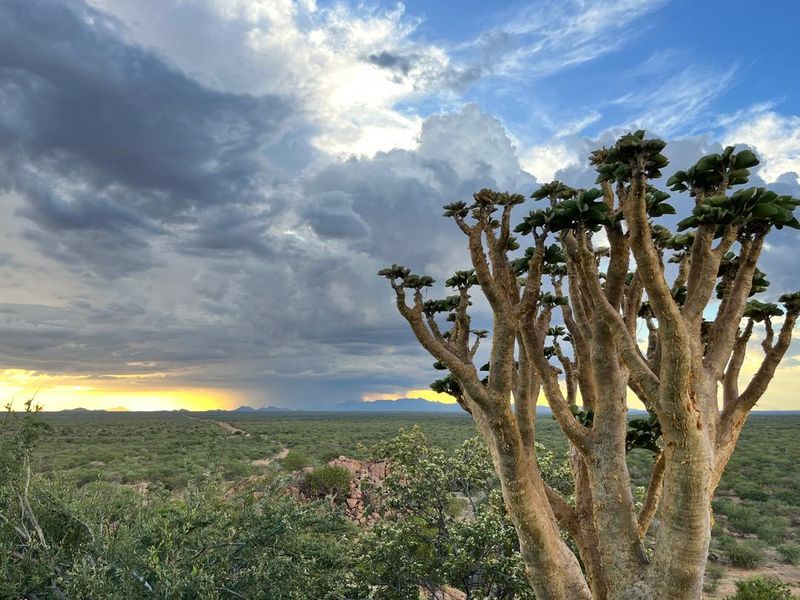 A scenic landscape view of the farm property featuring native trees, rocky terrain, and a dramatic sunset sky over the horizon.