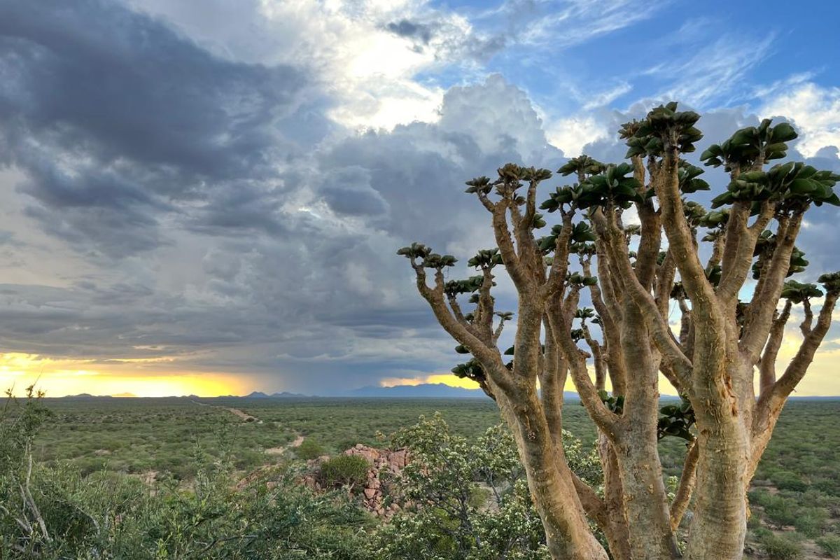A scenic landscape view of the farm property featuring native trees, rocky terrain, and a dramatic sunset sky over the horizon.