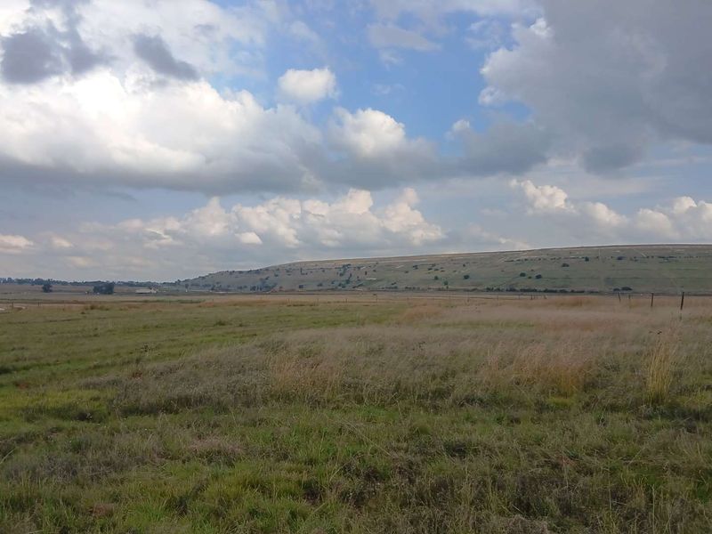 Large land for sale - Photo 9