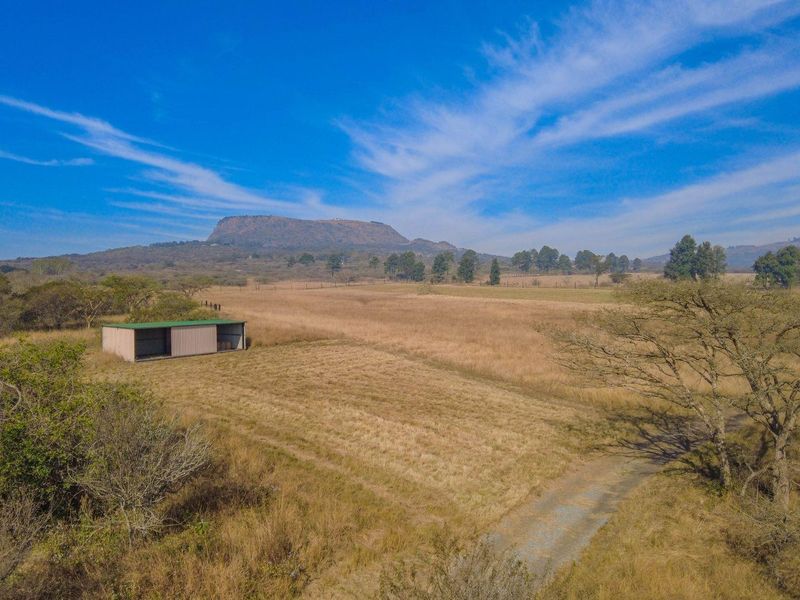 Lifestyle Smallholding with Dam Views – Just 10 Minutes from Pietermaritzburg & Albert Falls Dam - Photo 5