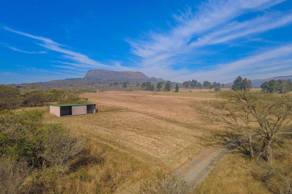 Lifestyle Smallholding with Dam Views – Just 10 Minutes from Pietermaritzburg & Albert Falls Dam - Photo 5