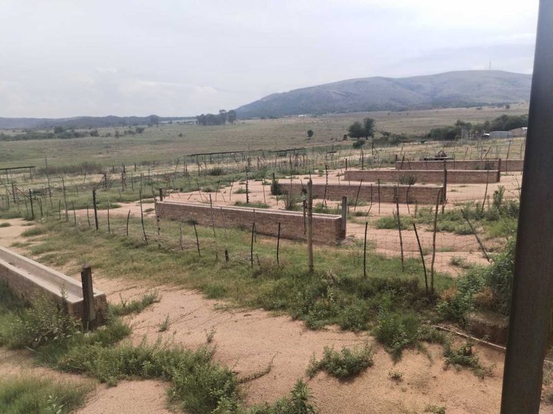 Secluded farm - Photo 5