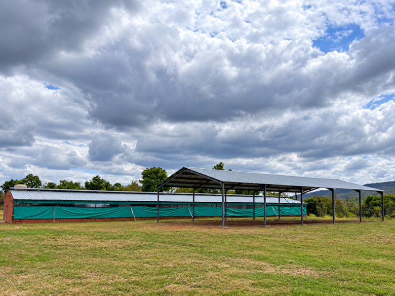 Large agricultural outbuilding featuring a metal roof structure, steel support columns, and green shade netting, situated on an open farm landscape.