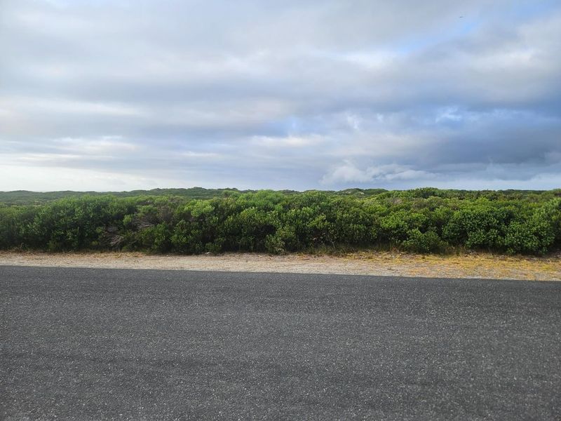 Business Opportunity - Photo 10