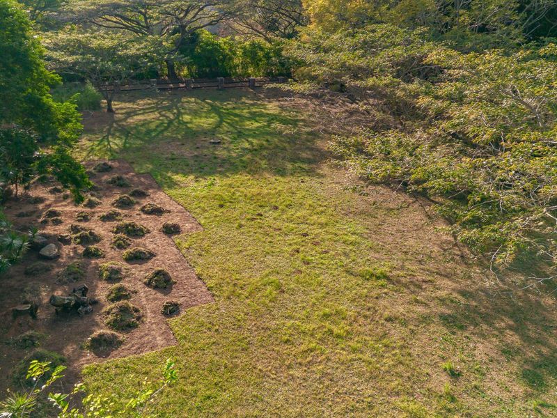 The Perfect piece of land - Photo 3