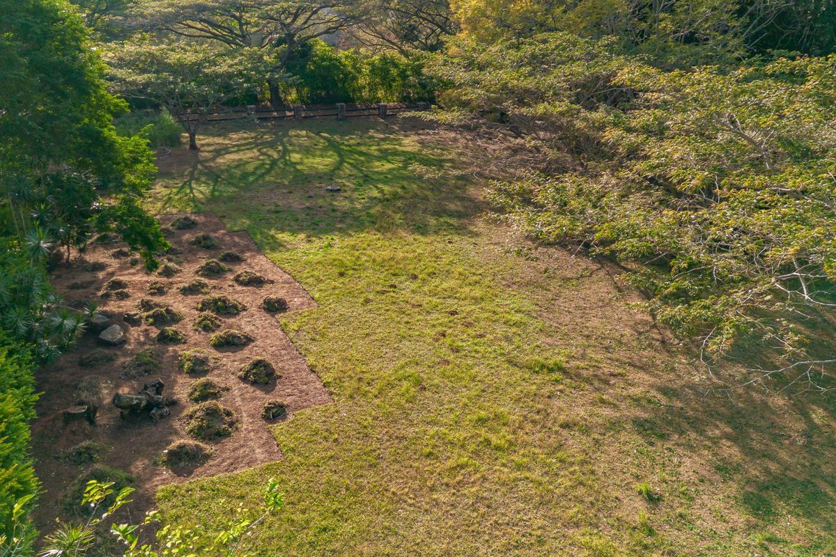 The Perfect piece of land - Photo 3