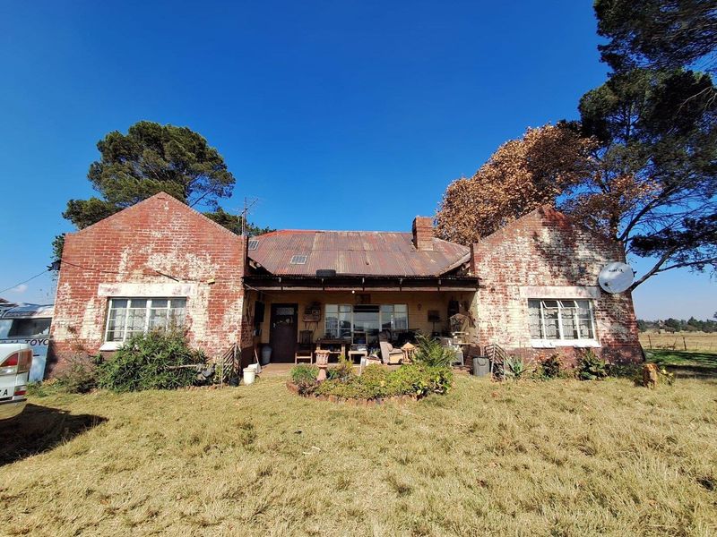 Centrally Located Farm with Direct Tar Road Access - Photo 10