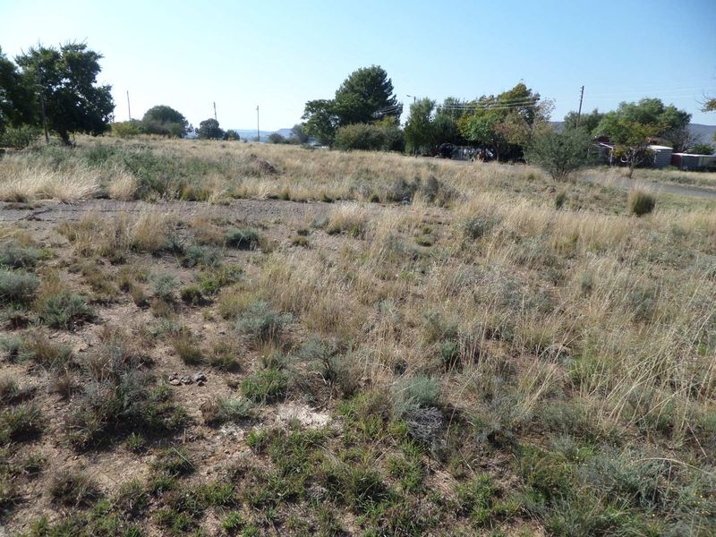 COOL THE ENGINES until you see this piece of land - Photo 3