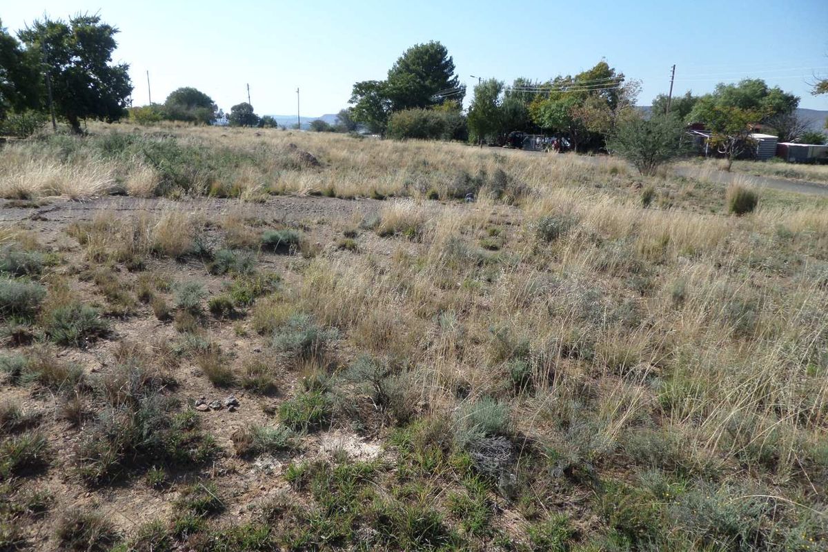 COOL THE ENGINES until you see this piece of land - Photo 3