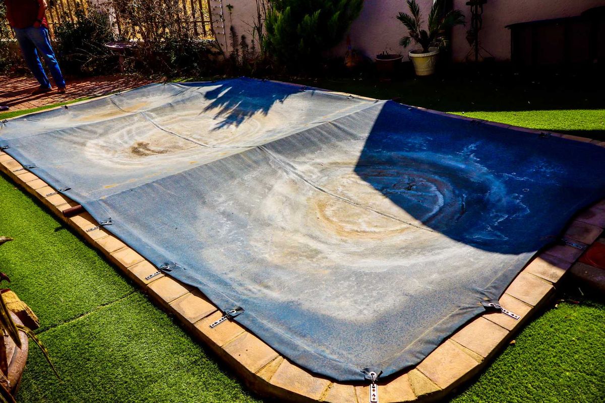 Single-Level 4-Bedroom Family Home with Pool - Photo 5